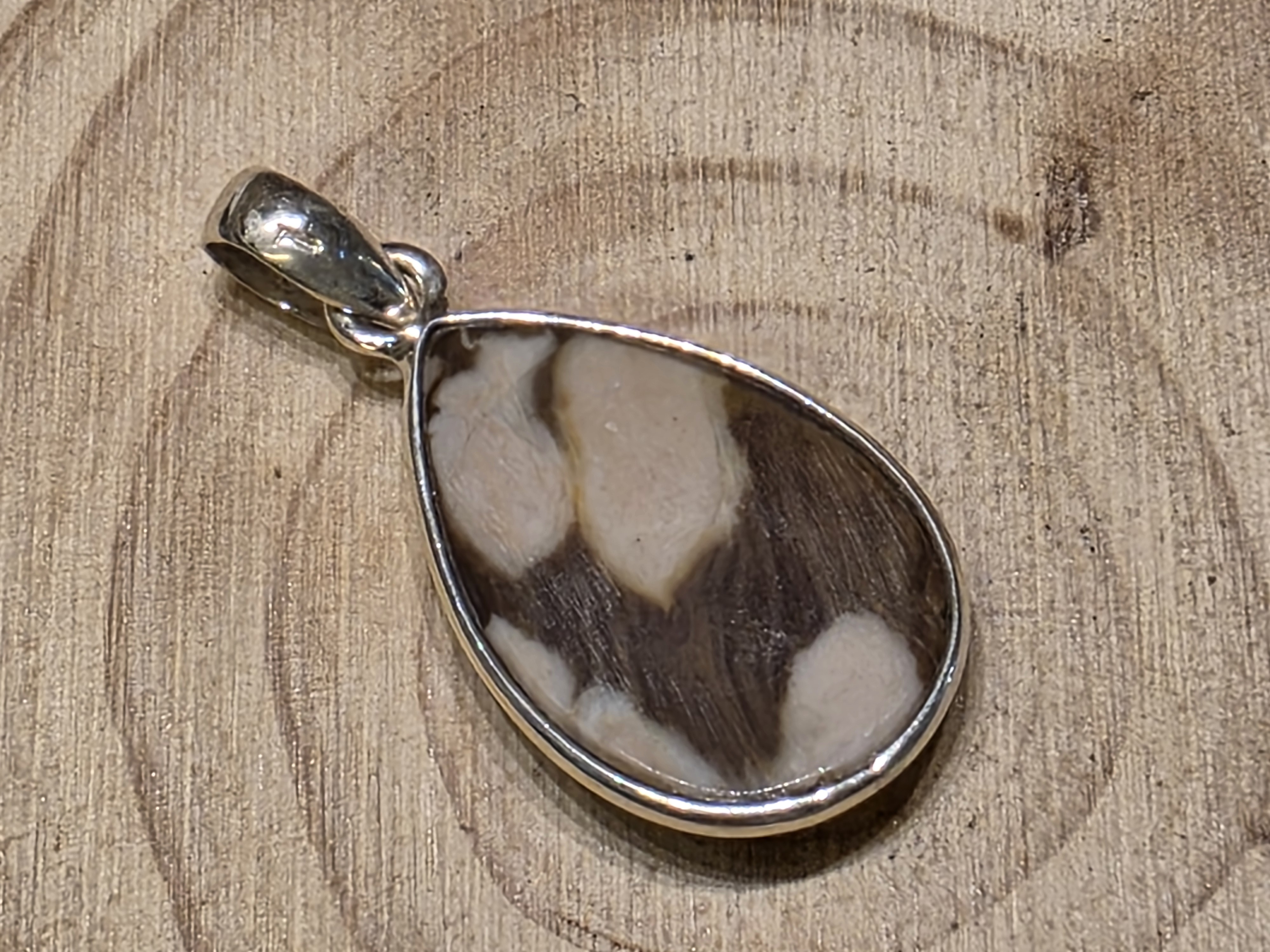 Versteend pindahout hanger in zilver