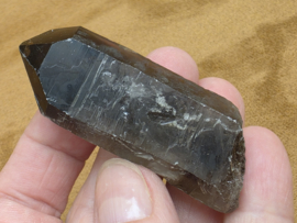 Rookkwarts punt lemurisch uit Brazilië