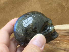 Labradoriet human skull