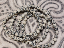 Dalmatiër jaspis kogelarmband 6mm mat