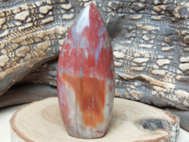 Versteend hout sculptuur