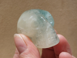 Fluoriet human skull