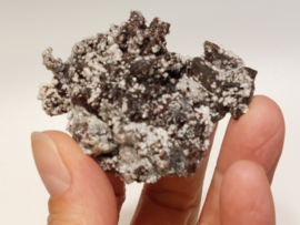 Snow calciet/calciet met aragoniet cluster uit Mexico
