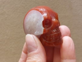 Carneool human skull
