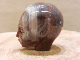 Versteend hout elfen being
