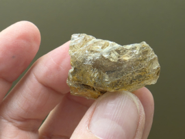 Vensterkwarts uit Pakistan