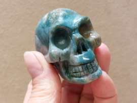 Oceaan jaspis human skull