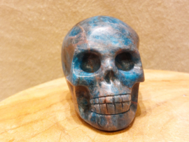 Apatiet human skull