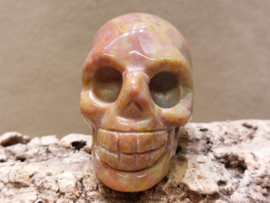 Oceaan jaspis human skull