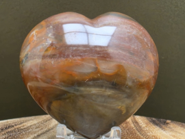 Versteend hout hart