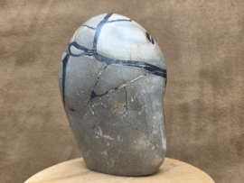 Wilde septarie sculptuur