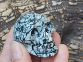 Picasso jaspis human skull