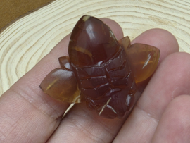 Blauwe amber bij