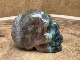 Oceaan jaspis human skull
