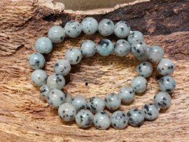 Kiwi jaspis kogel armband 10 mm