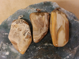 Versteend hout hanger