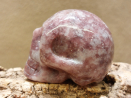 Lepidoliet human skull
