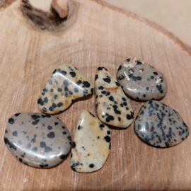 Dalmatier jaspis kleine steentjes 6 stuks