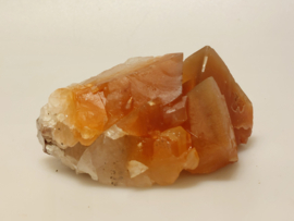 Mariposa calciet uit Mexico