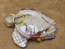Mookaiet schildpad