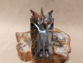 Versteend hout draak