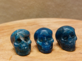 Apatiet skullie