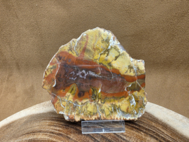 Versteend hout schijf