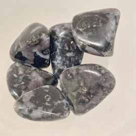 Mystic merliniet of gabbro merliniet kleine steentjes, 6 stuks