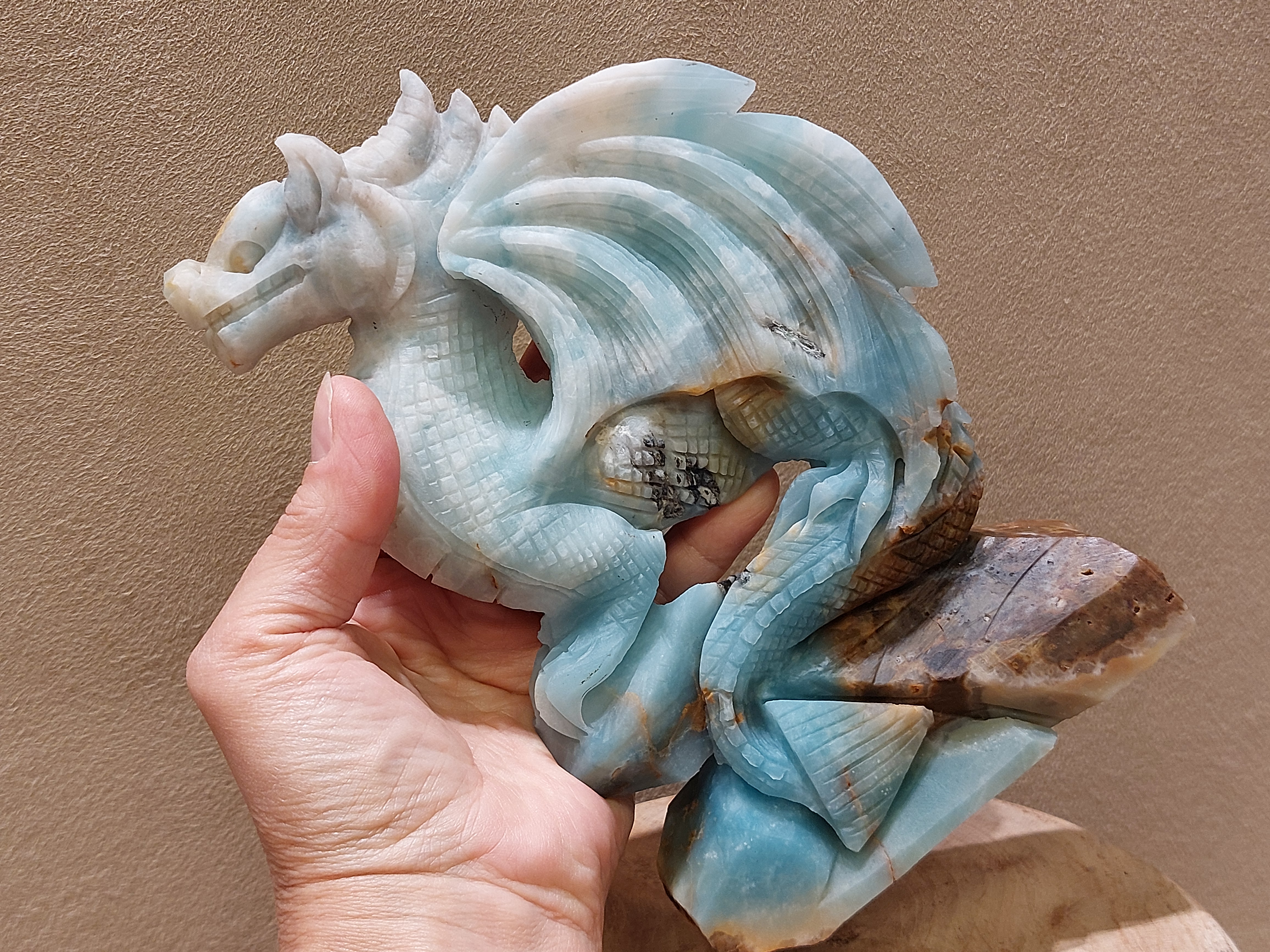 Blue carribean calciet draak full body