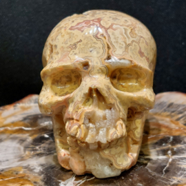 Crazy lace agaat human skull
