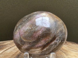 Versteend hout handsteen