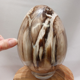 Versteend hout ei uit Indonesië 16cm