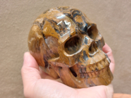 Tijgerijzer human skull