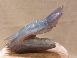 Agaat wolf