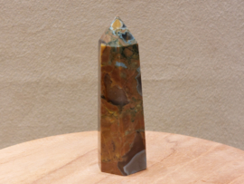 Rhyoliet of regenwoud jaspis punt