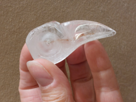 Bergkristal ravenskull