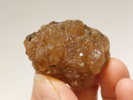 Citrien uit Marokko cluster