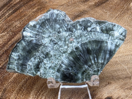 Serafiniet plak/schijf