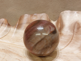 Versteend hout bol