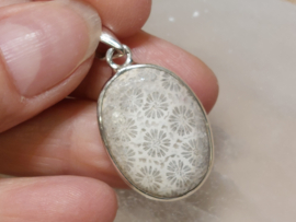 Fossiel koraal hanger in zilver