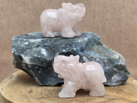 Rozenkwarts olifant