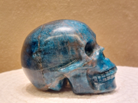 Apatiet human skull