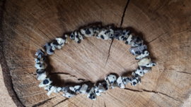 Dalmatiër jaspis splitarmband