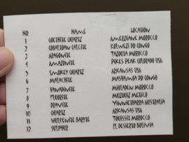 Verzameldoos met 12 stenen