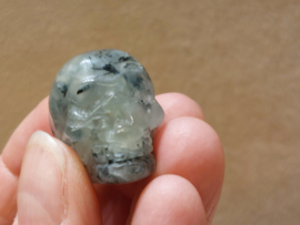 Prehniet human skull