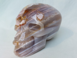 Flower agaat human skull