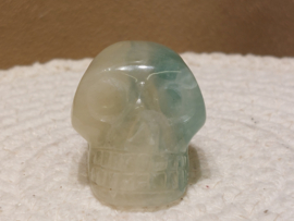 Fluoriet human skull