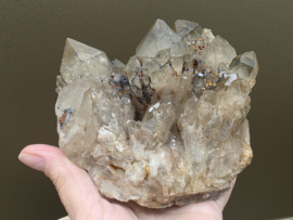 Kundalini citrien uit Congo