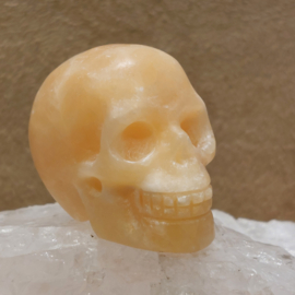 Oranje calciet human skull