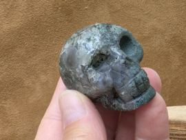 Mosagaat human skull